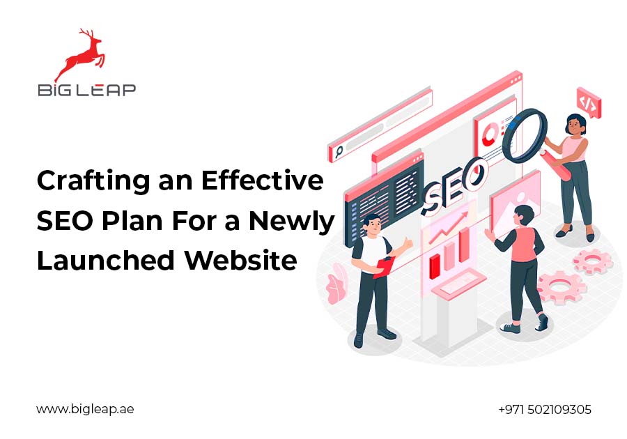  Crafting an Effective SEO Plan for a Newly Launched Website